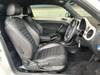 VOLKSWAGEN THE BEETLE