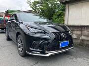 2019 LEXUS NX