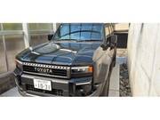 2025 TOYOTA LANDCRUISER 250