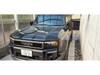 TOYOTA LANDCRUISER 250