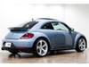 VOLKSWAGEN THE BEETLE