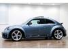 VOLKSWAGEN THE BEETLE