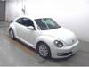 VOLKSWAGEN THE BEETLE