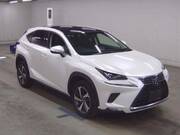2019 LEXUS NX