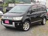 MITSUBISHI OTHER