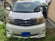 2005 TOYOTA ALPHARD MS