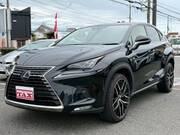 2019 LEXUS NX