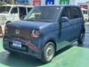 HONDA OTHER
