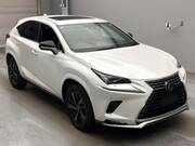 2021 LEXUS NX