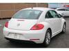 VOLKSWAGEN THE BEETLE