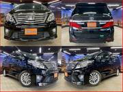 2013 TOYOTA ALPHARD