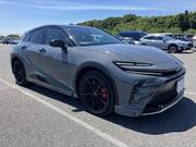 2024 TOYOTA OTHER