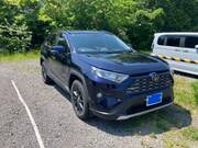 2019 TOYOTA RAV4 G