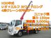 ISUZU OTHER