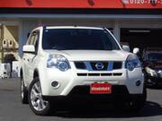 2013 NISSAN X-TRAIL