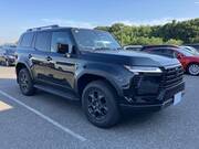 2025 LEXUS OTHER