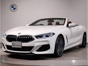 2020 BMW 8 SERIES