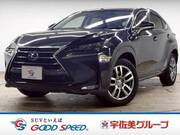 2015 LEXUS NX