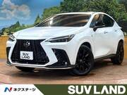 2024 LEXUS NX