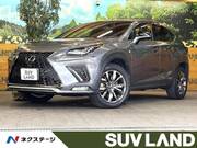 2020 LEXUS NX