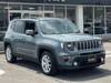 CHRYSLER JEEP RENEGADE