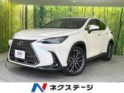 2024 LEXUS NX