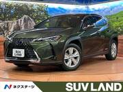 2020 LEXUS UX