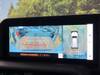 TOYOTA LANDCRUISER 250