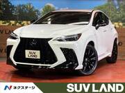 2024 LEXUS NX