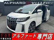 2019 TOYOTA ALPHARD