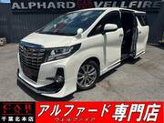 2017 TOYOTA ALPHARD