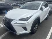 2019 LEXUS NX