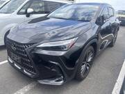 2023 LEXUS NX