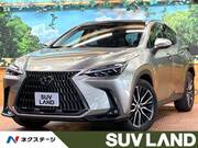2023 LEXUS NX