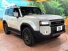 TOYOTA LANDCRUISER 250