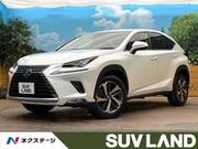 2018 LEXUS NX