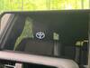 TOYOTA LANDCRUISER 250