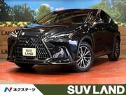 2024 LEXUS NX