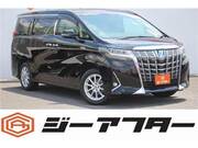 2019 TOYOTA ALPHARD HYBRID