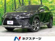 2019 LEXUS NX