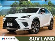 2018 LEXUS NX