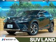 2017 LEXUS NX