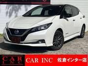 2019 NISSAN LEAF G