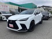 2023 LEXUS NX