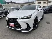 2023 LEXUS NX