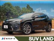 2019 LEXUS UX