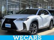 2021 LEXUS UX