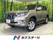 2020 TOYOTA LAND CRUISER PRADO TX