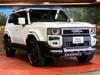 TOYOTA LANDCRUISER 250