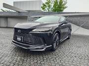2025 LEXUS RX
